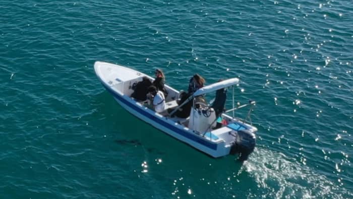 3h in Olhão: Rent a motorboat and enjoy
