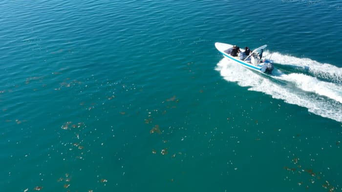 3h in Olhão: Rent a motorboat and enjoy