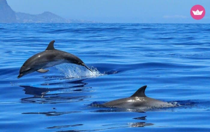 Tour of the Zingaro Nature Reserve and San Vito Lo Capo