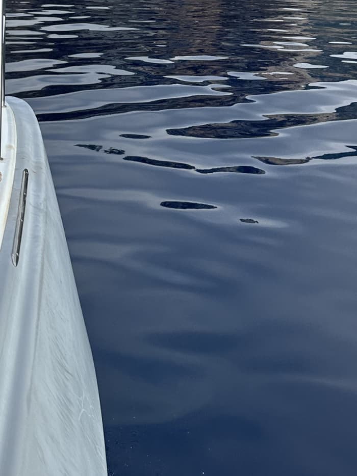 Enjoy a full day of sailing in Marseille on a catamaran