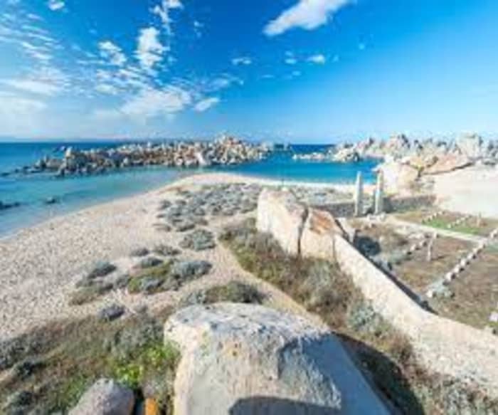 Ganzer Tag ab Santa Teresa Gallura: Erkundung zwischen Sardinien und Korsika, Isola Piana und Lavezzi