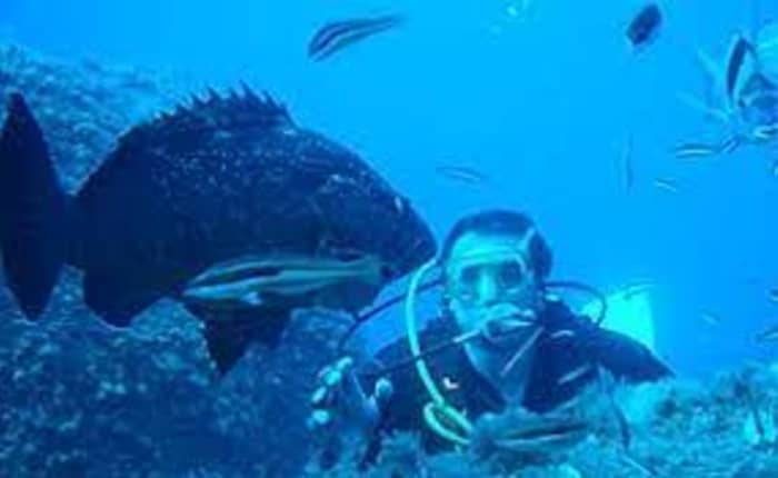 Ganzer Tag ab Santa Teresa Gallura: Erkundung zwischen Sardinien und Korsika, Isola Piana und Lavezzi