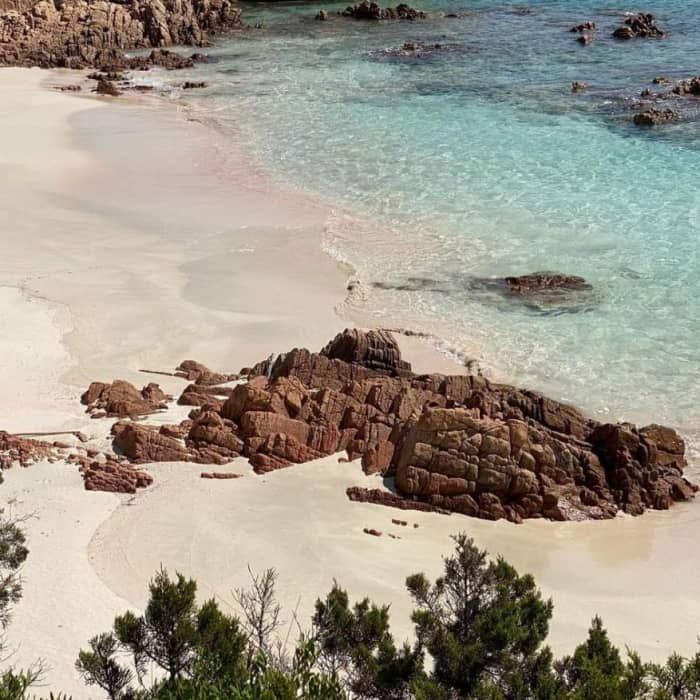 Heldagsseglingstur från Palau: Upptäck Maddalena skärgård