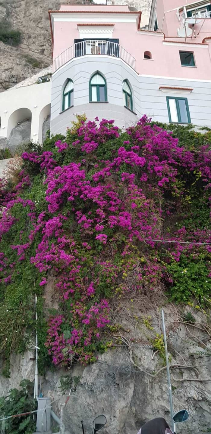 Discover Castellammare di Stabia: a full day of sun in a motorboat