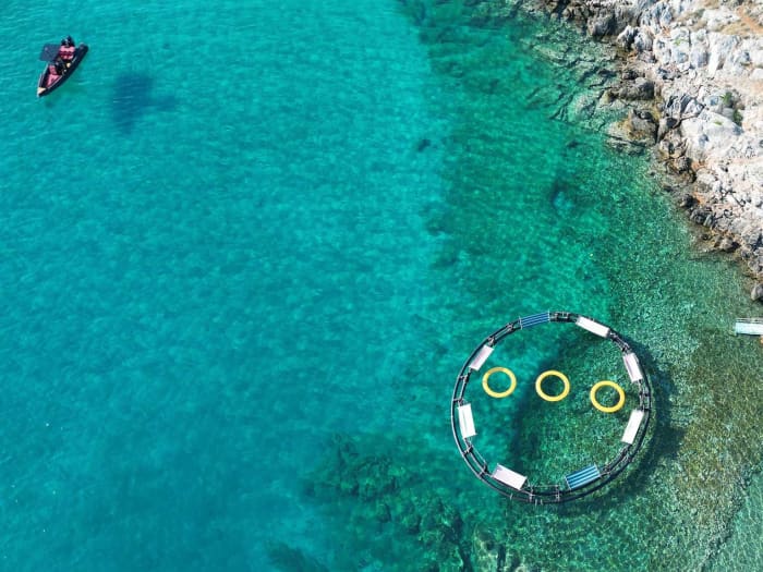 Epische 8-stündige Kreuzfahrt: Erkunden Sie Tselevinia, Hydra und das Schiffswrack der Rodini
