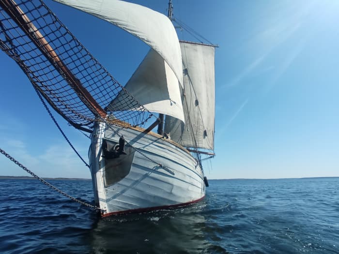 Sail into the extraordinary: Days of laughter and wind in Flensburg on a sailboat