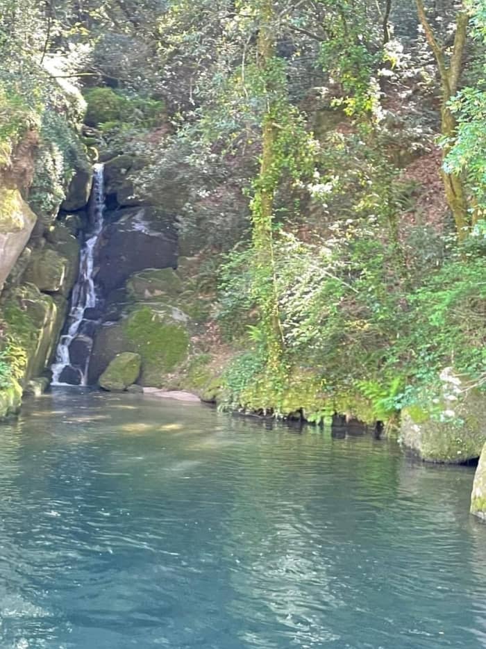 Discover Castelo de Paiva on a half-day motorboat trip