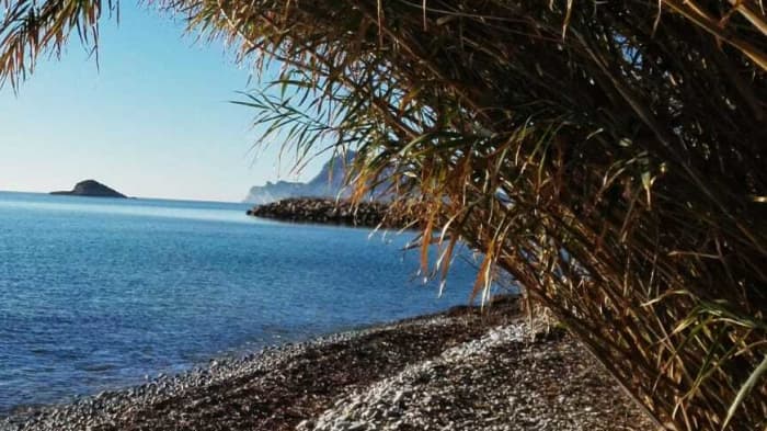Full-day sailing experience in Altea