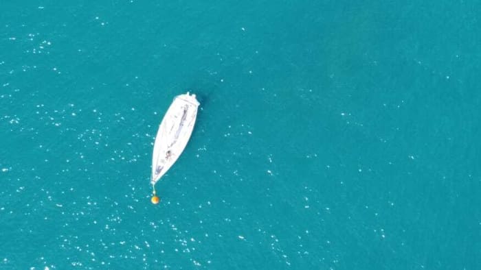 Full-day sailing experience in Altea