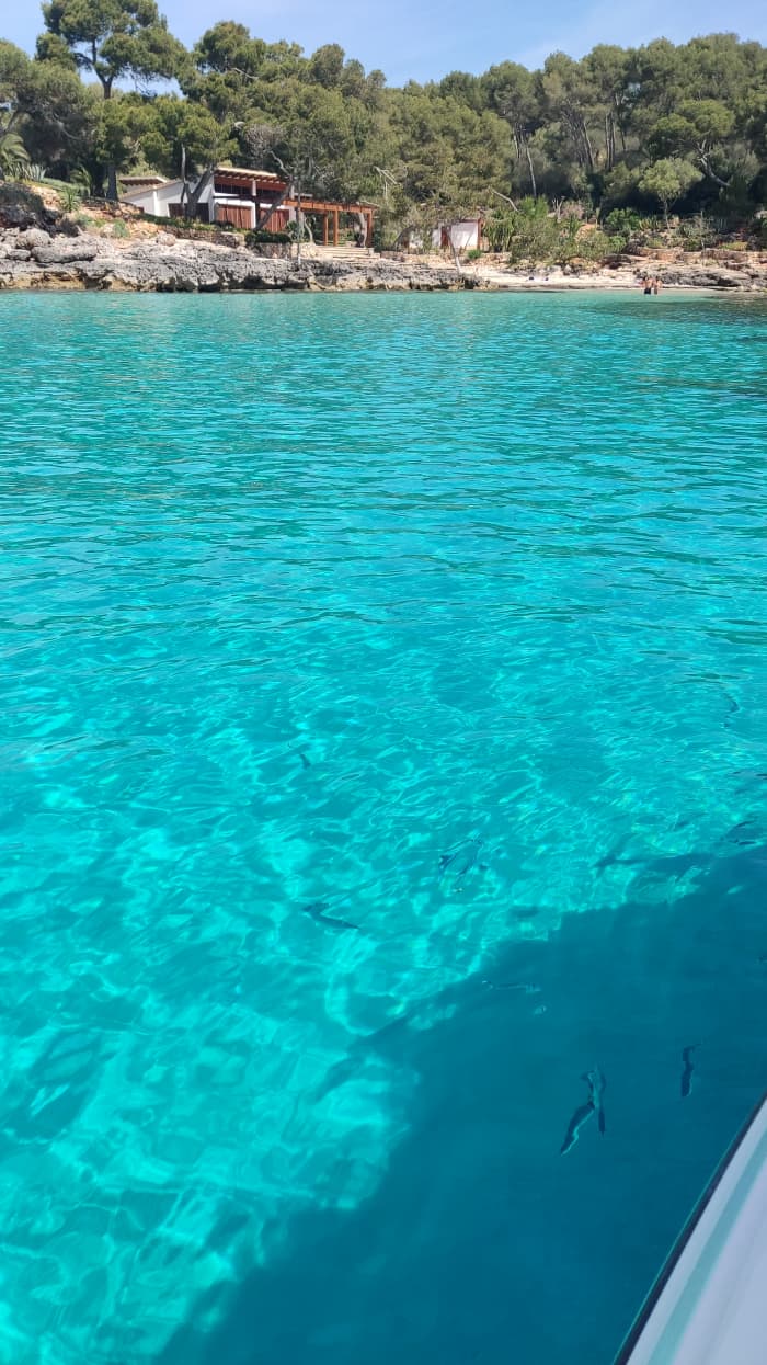 Discover the secret coves of Mallorca - 4h