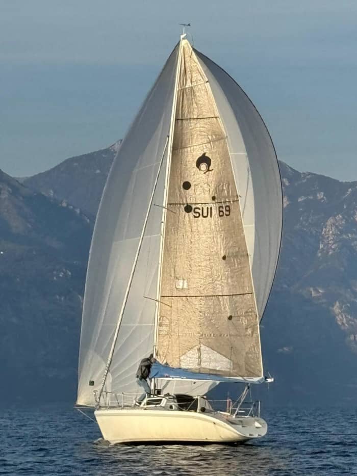 Setzen Sie Kurs auf Freude: Ein ganzer Tag authentisches Segeln in Brenzone sul Garda an Bord eines Segelboots