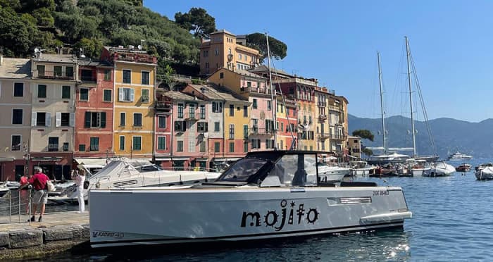 A day exploring the Gulf of Tigullio and the Gulf of Paradiso, and if you prefer, an unforgettable excursion to the Cinque Terre: pure relaxation on the blue Italian waters.