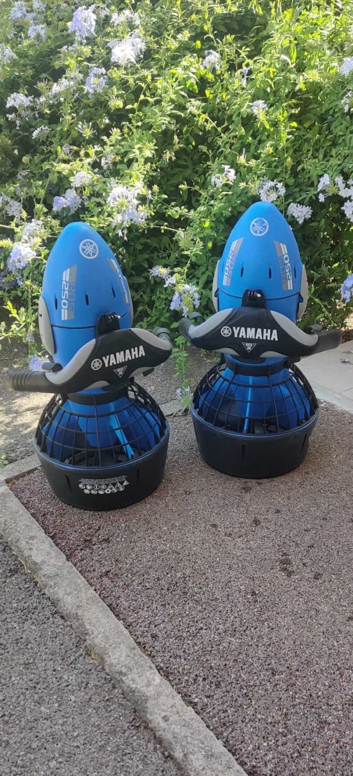 Découvrez Port Fréjus : une demi-journée de pur bonheur en bateau à moteur