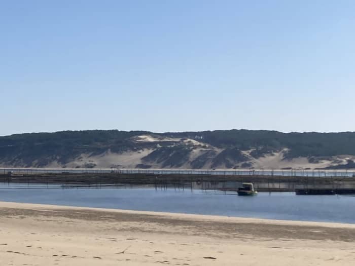 4-hour walk: Dune du Pilat, Banc d’Arguin, and Cap Ferret, Bird Island…