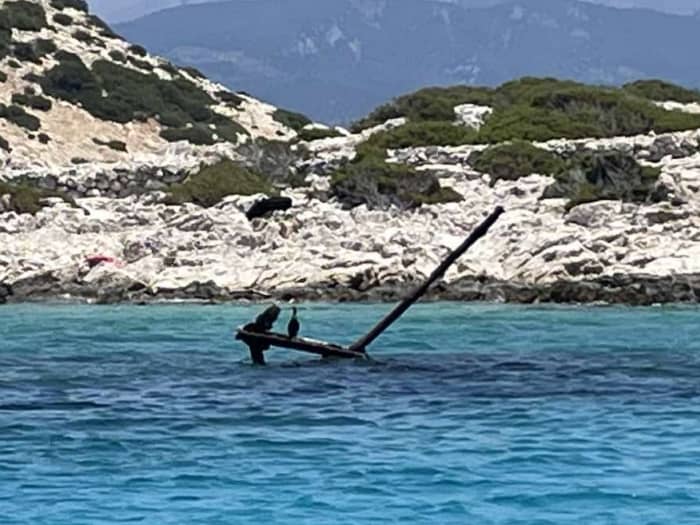 Excursion d'une demi-journée à l'Alimia sauvage au départ de Kameiros Skala