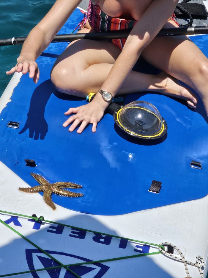 Hoogwaardige privé-dagcruise rond Budva en Sveti Stefan