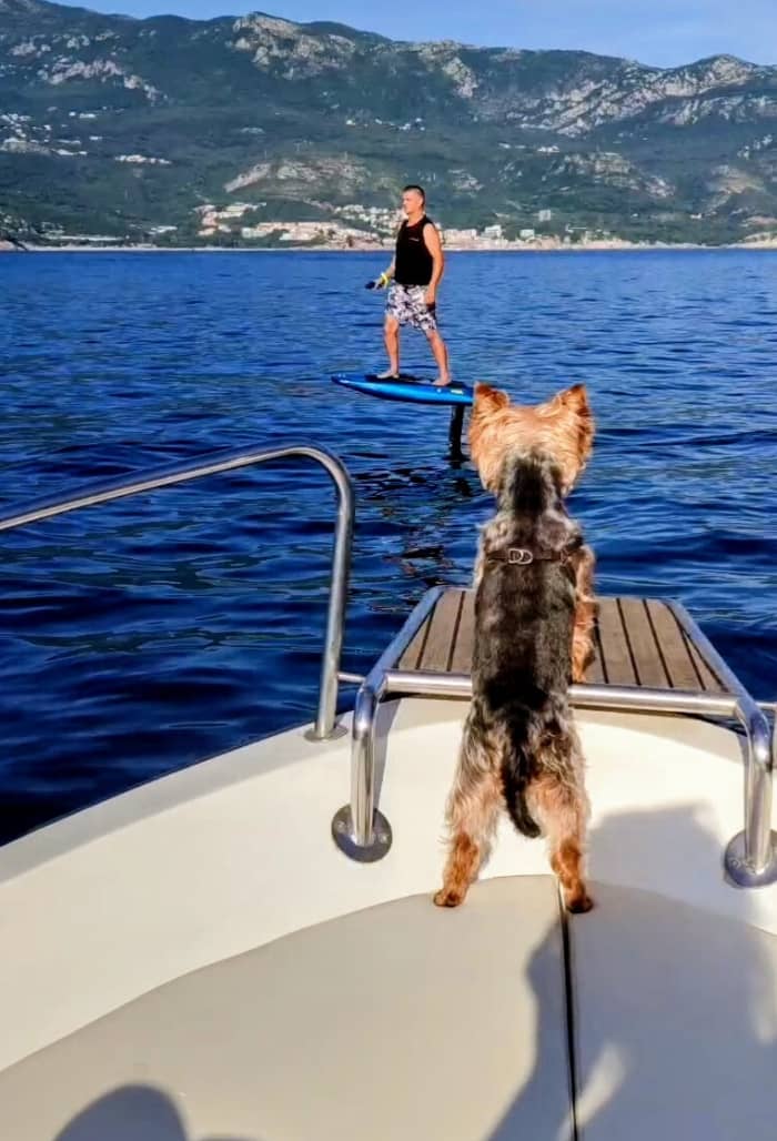 La escapada definitiva en barco a Budva: 4 horas de magia costera.