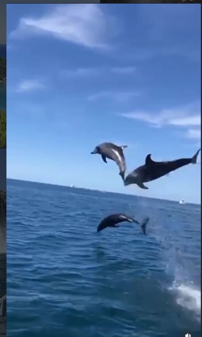 Passeio de barco particular para 26 pessoas pela descoberta do Mediterrâneo saindo de Antália