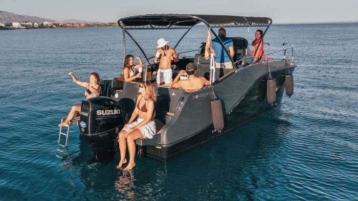 Private Dolphin Watching & Coastal Cruise in Estepona