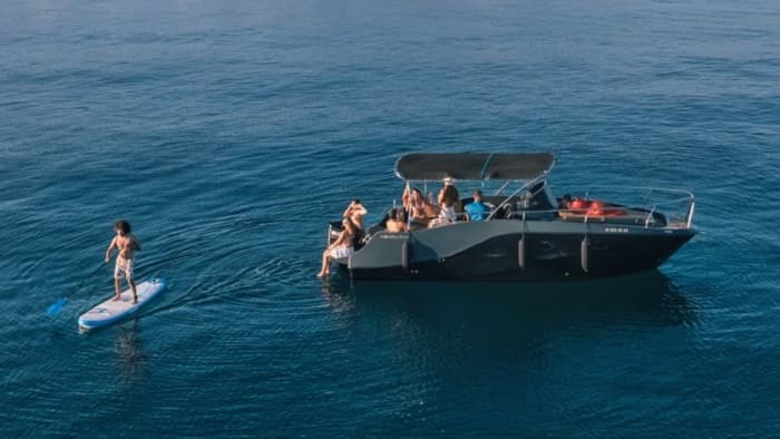 Private Dolphin Watching & Coastal Cruise in Estepona