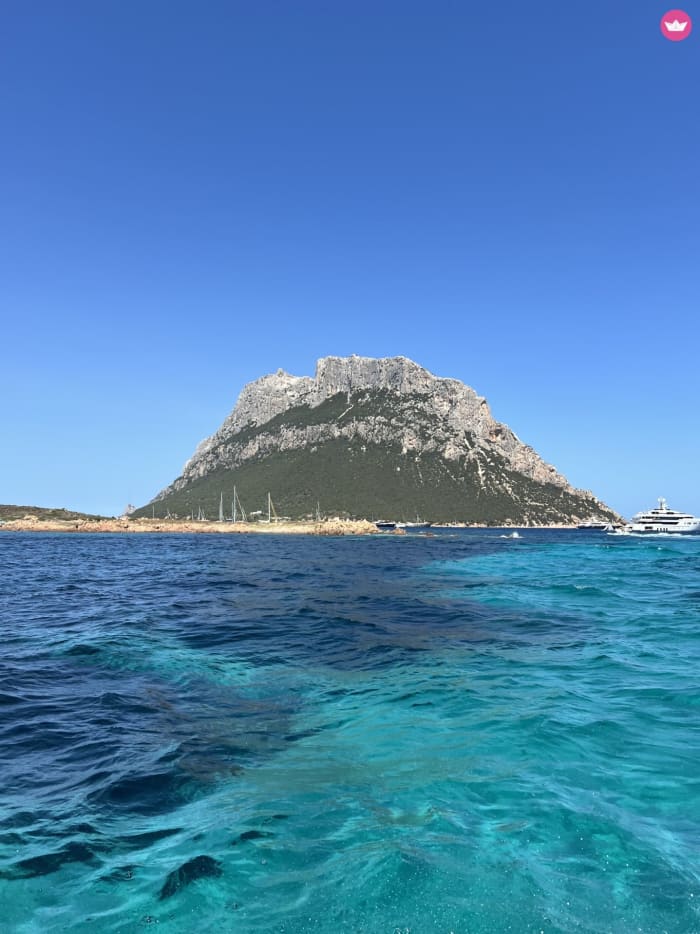 From Olbia to Tavolara in half a day: coves, pools, and freedom