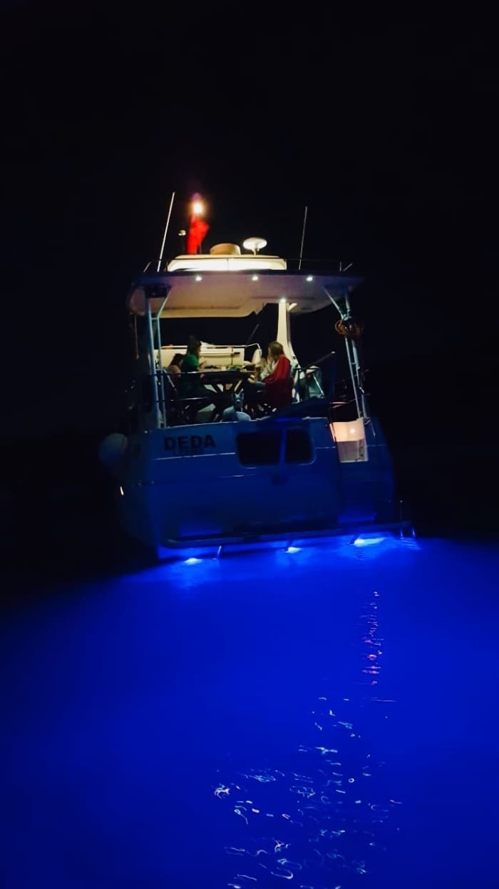 Jeden Moment genießen: Ein sonniger Tag rund um Çeşme auf einem Motorboot