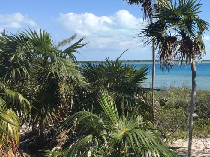 Turks e Caicos: excursão de dia inteiro pelas ilhas e joias escondidas