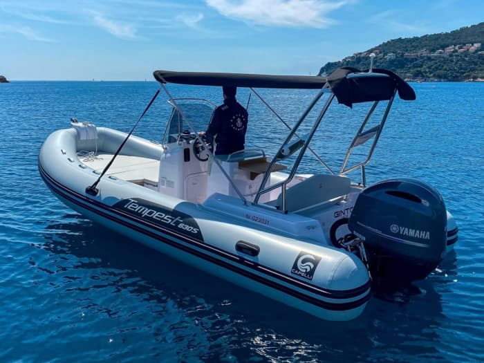 Discover Bandol on a half-day motorboat trip