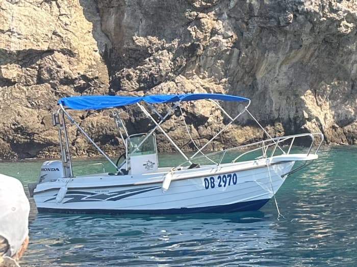 Panda experience: Discover Dubrovnik on a motorboat