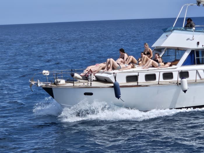 Breng uw dag door in Castellammare del Golfo en huur een motorboot voor 7 uur om de Zingaro te ontdekken.