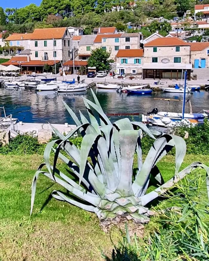 Excursión privada de medio día en barco a la Laguna Azul: aguas cristalinas y escapada costera desde Split