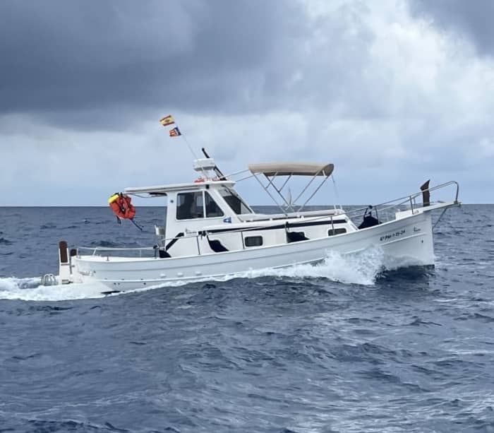Entdecken Sie Cala d'Or auf einem Ganztagesausflug mit dem Motorboot