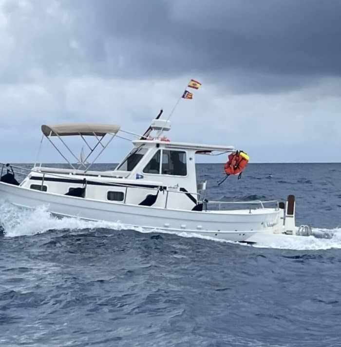 Entdecken Sie Cala d'Or auf einem Ganztagesausflug mit dem Motorboot