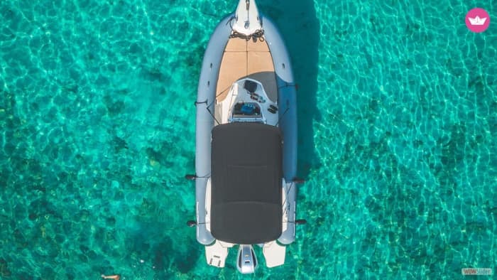 Experience Rental of Marlin dynamic 790