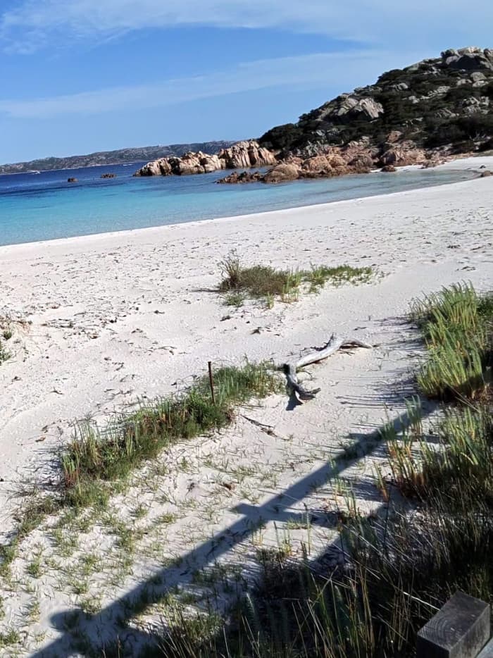Dream cruise through the archipelago and Lavezzi