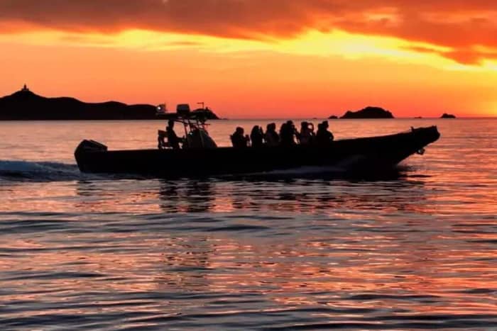 Privéboottocht met eigen schipper | Zonsondergang bij Île d'Or – inclusief aperitief en zwemmen