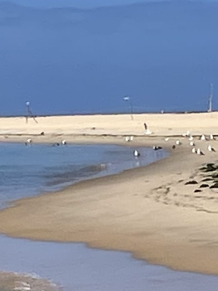 Sunset Escape: Discover the Arcachon Bay in a Different Way