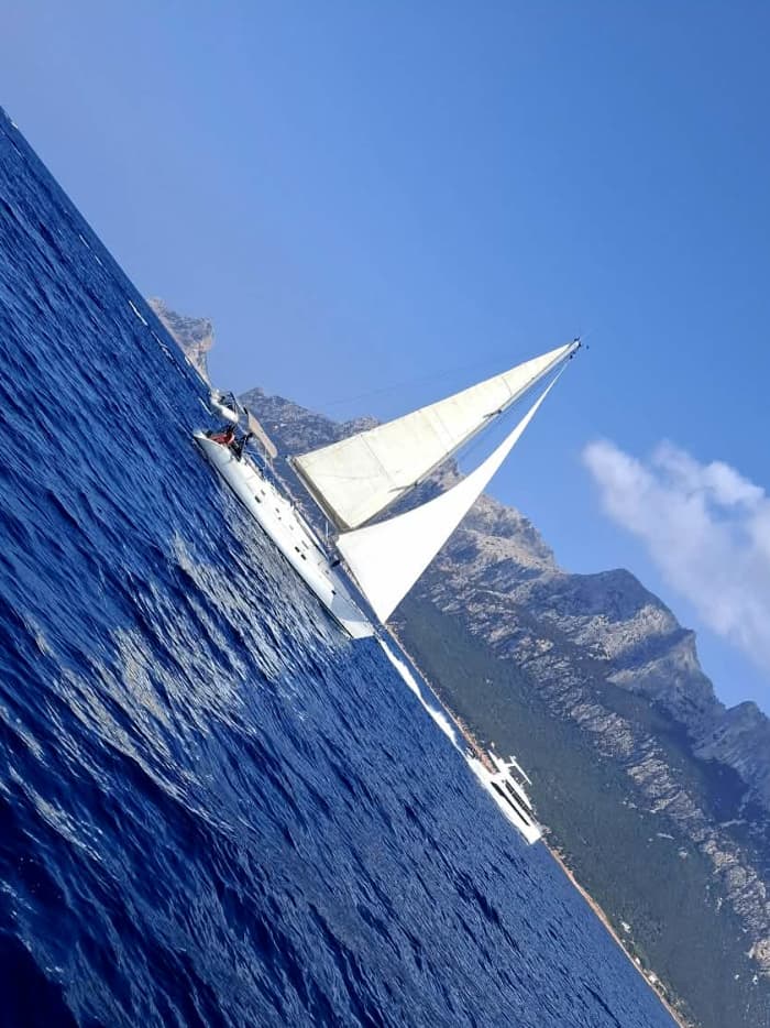 Discover Tavolara and dolphins tours up to 10 people