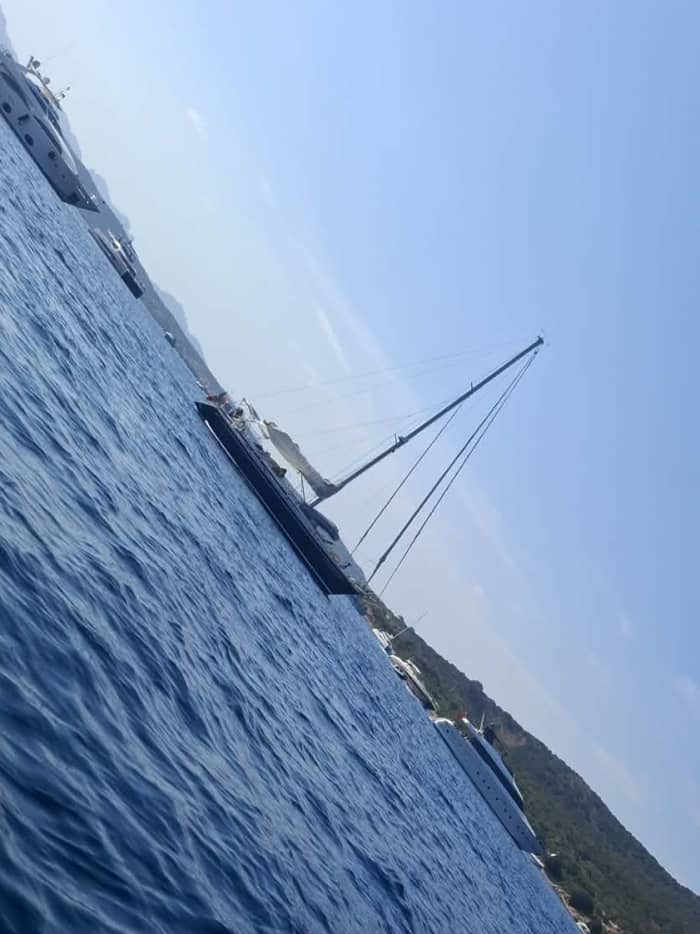 Discover Tavolara and dolphins tours up to 10 people