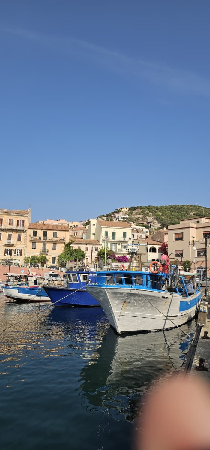 Discover Tavolara and dolphins tours