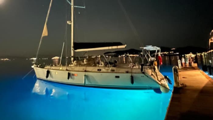 Discover Tavolara and dolphins tours