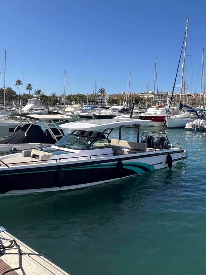 Discover Alcúdia on a motorboat for 8h