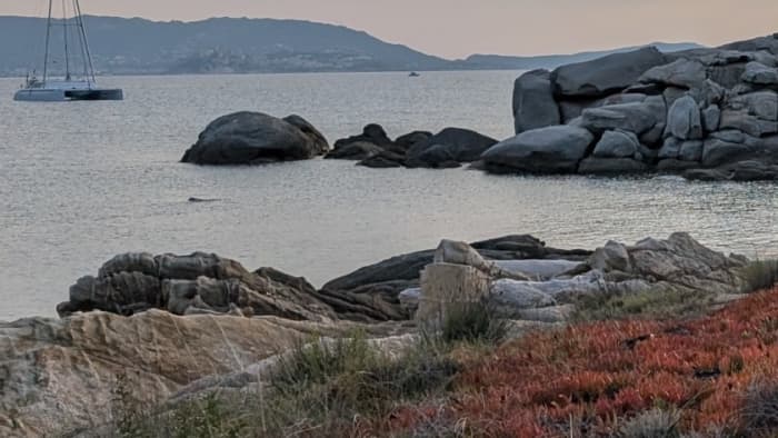 Excursão de barco de dia inteiro à Île-Rousse e às enseadas selvagens da Córsega.