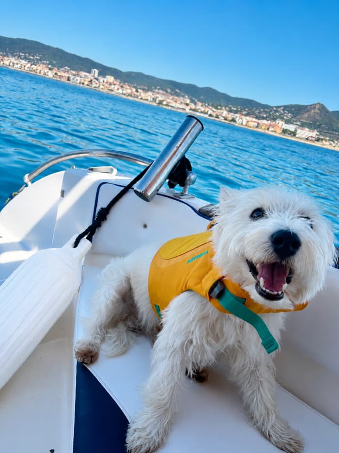 🚤4-hour private tour of Barcelona with a local skipper with optional activities🏄