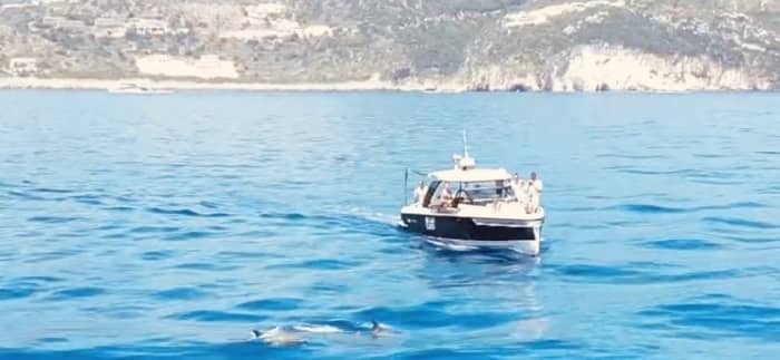 A legendary break: 3h30 around Zakynthos on a motorboat