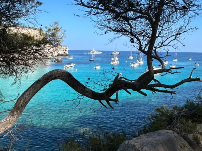 Desfrute de um dia no mar em Port-Vendres a bordo de um veleiro.