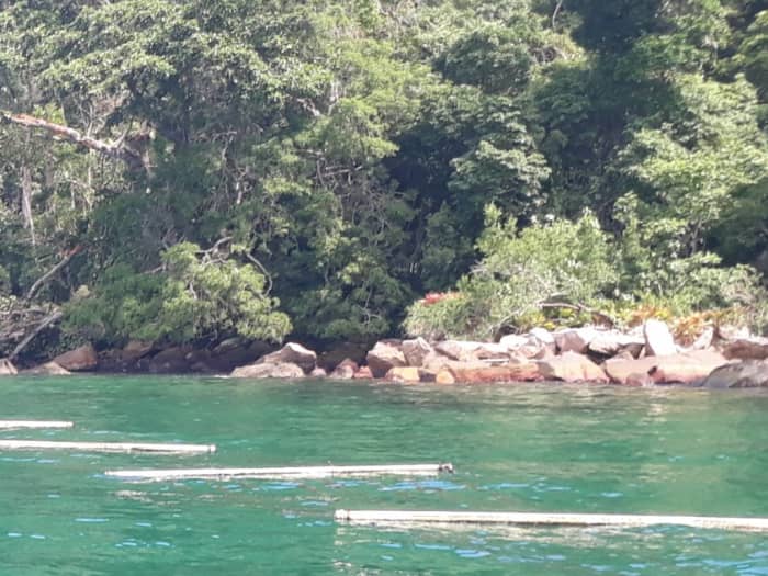 Détendez-vous lors d'une excursion en bateau de 2h15 à Paraty
