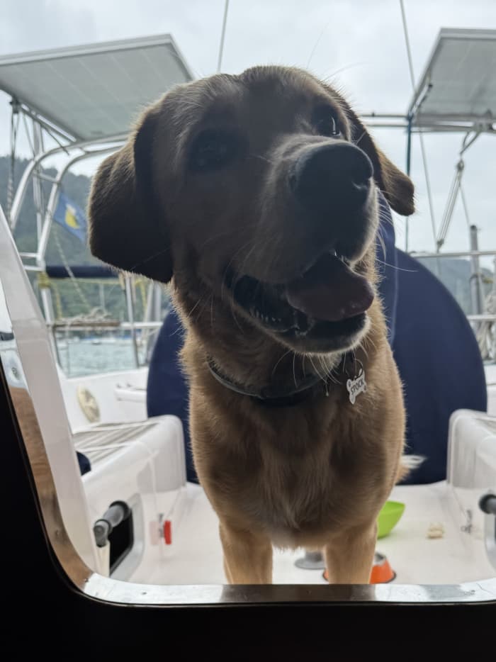 Une journée magique à Ubatuba à bord d'un voilier