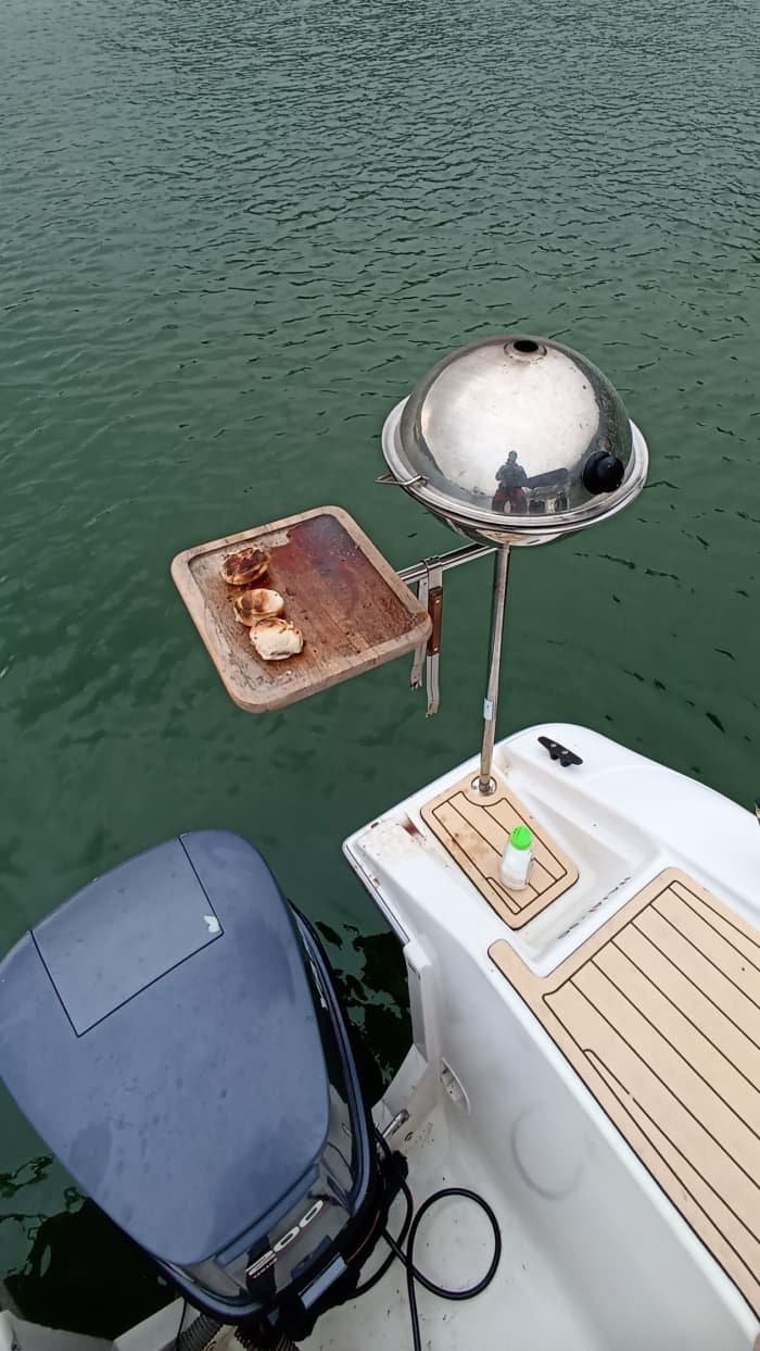 Viva para as ondas: Uma escapadela de meio dia em Porto Belo a bordo de uma lancha.