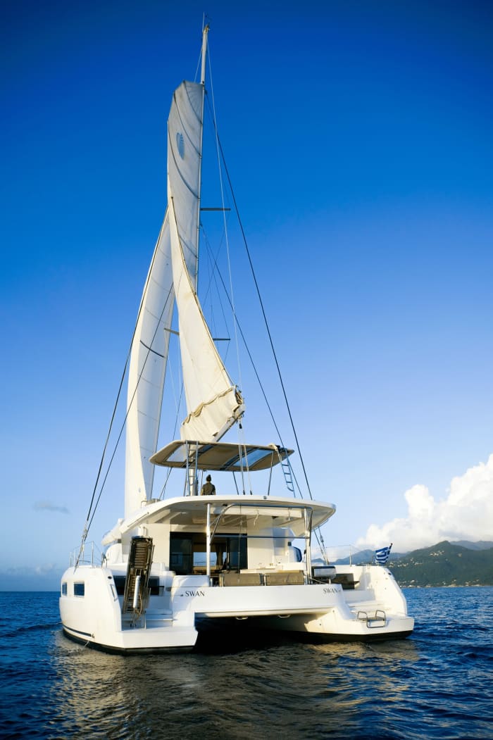 Traccia la rotta verso la gioia: un'intera giornata di autentica navigazione a vela a Saint George's a bordo di un catamarano.